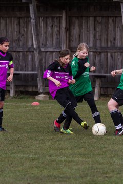 Bild 101 - D-Juniorinnen SV Bokhorst - FSC Kaltenkirchen : Ergebnis: 1:8